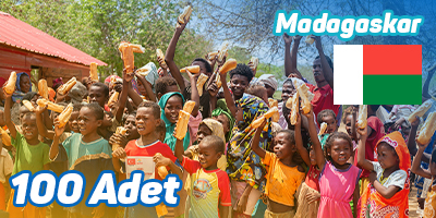 Bread Distribution 100 Units in Madagascar