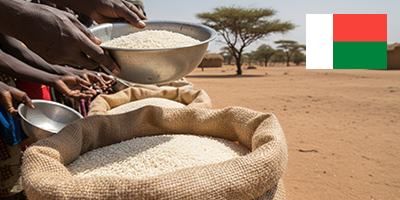 Pirinç Dağıtımı (25 Kg)